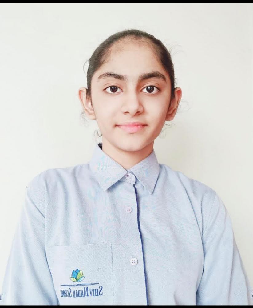 PERSPECTIVA - School Debate